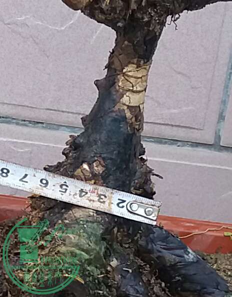 20160829_180709-1.jpg