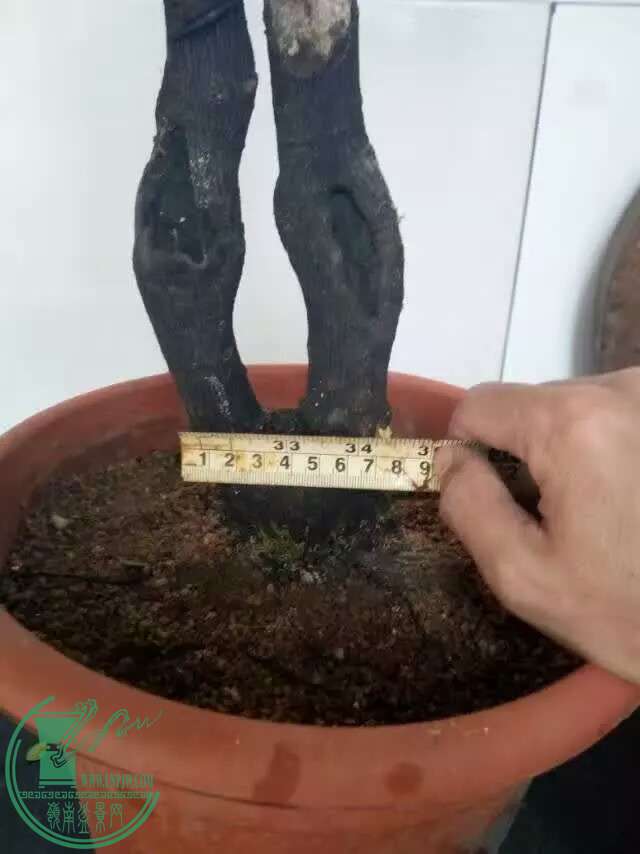 1472551409687.jpeg