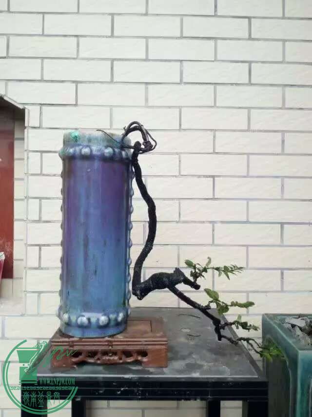 1472551418335.jpeg