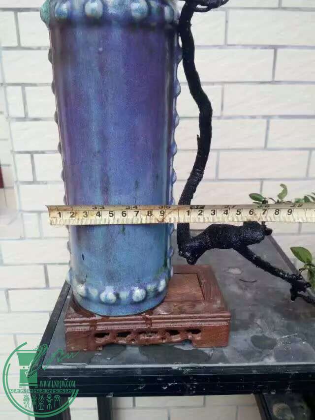 1472551420937.jpeg