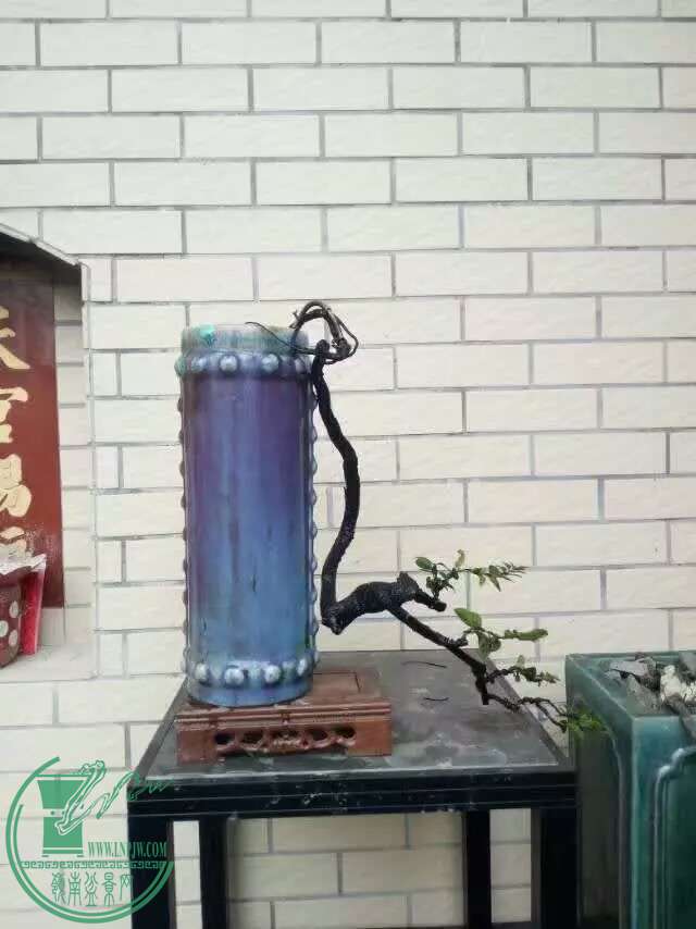 1472551426526.jpeg