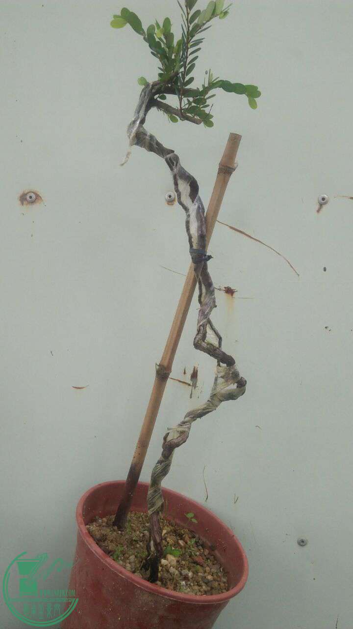 QQͼƬ20160831202552.jpg
