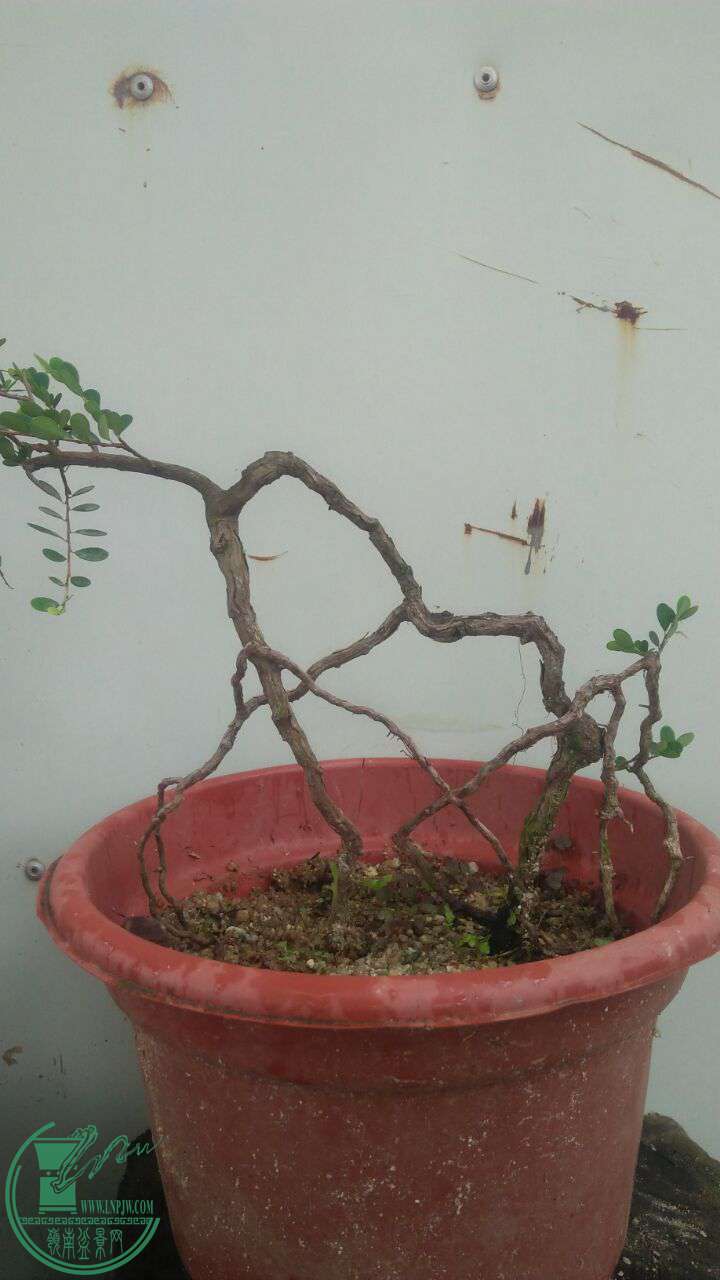 QQͼƬ20160831202559.jpg