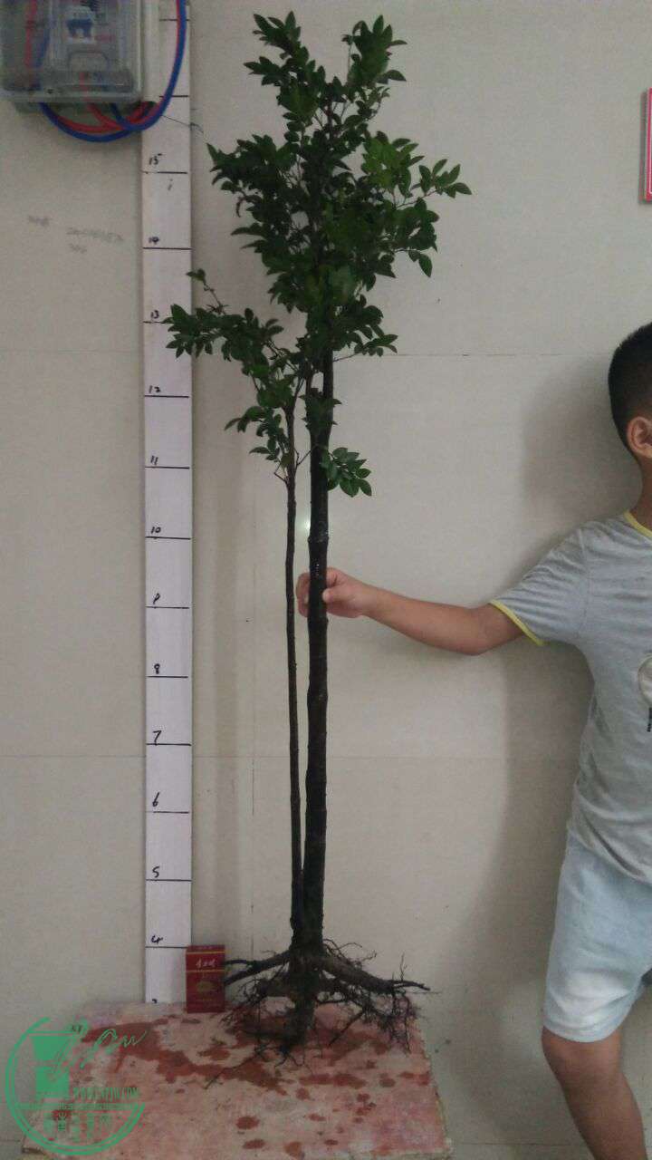 QQͼƬ20160901192204.jpg