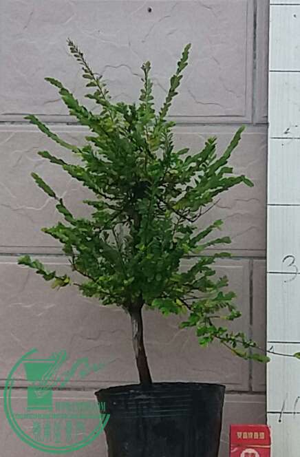 20160902_180129-1.jpg