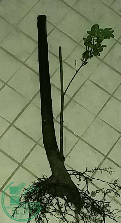 20160902_185913-1.jpg