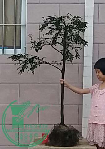 20160902_182502-1.jpg