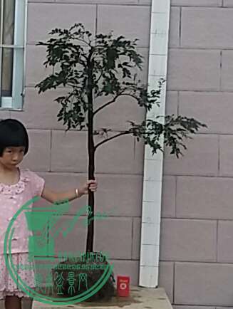 20160902_182420-1.jpg