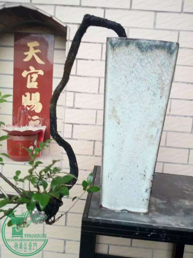 1472817561981.jpeg