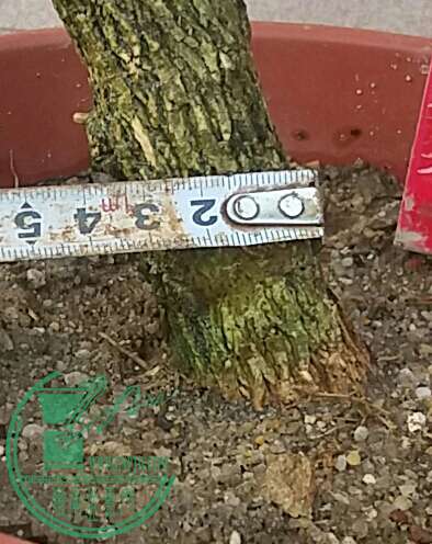 20160903_173614-1-1.jpg