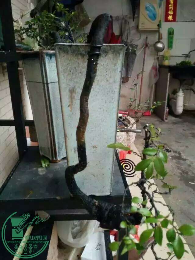1472905932786.jpeg