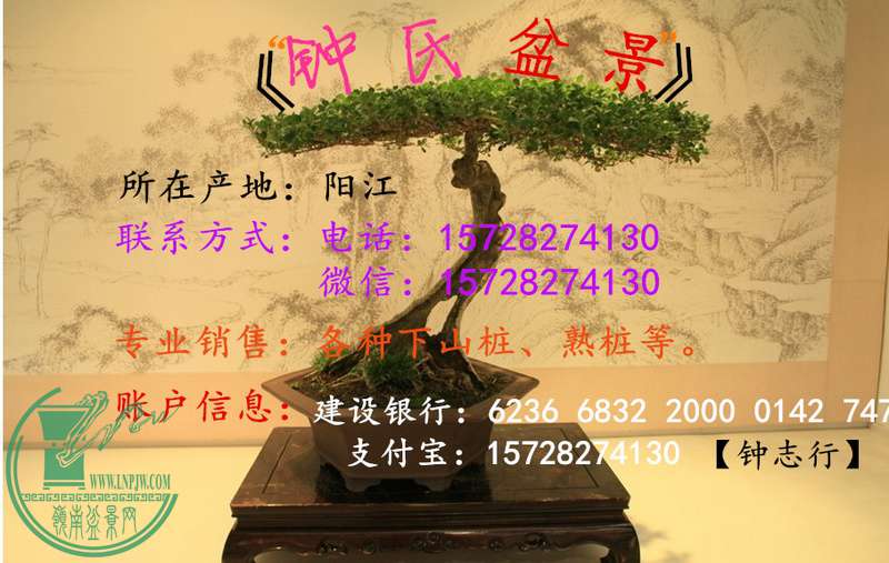 2012214102624712_.jpg