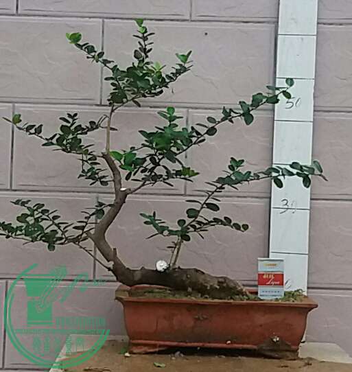 20160905_181619-1.jpg