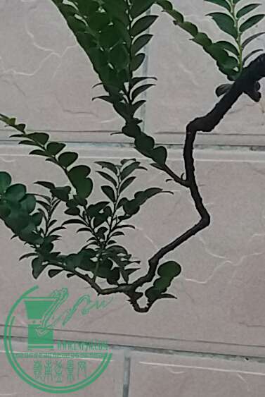 20160907_173522-1.jpg