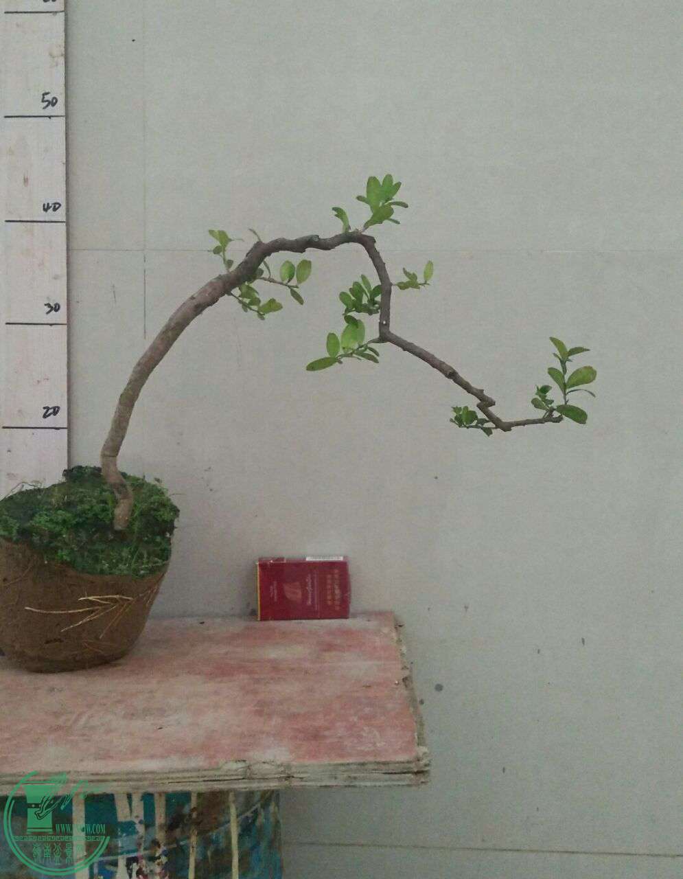 QQͼƬ20160908192228.jpg