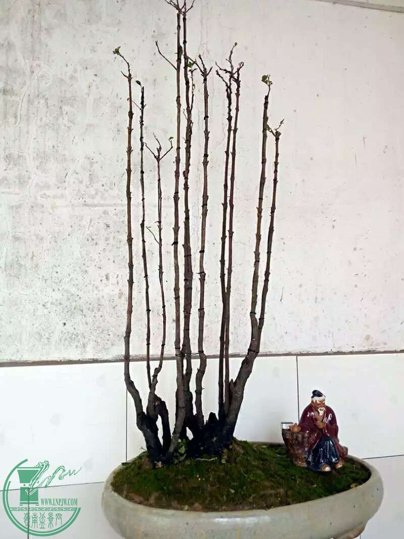1473394893823.jpeg