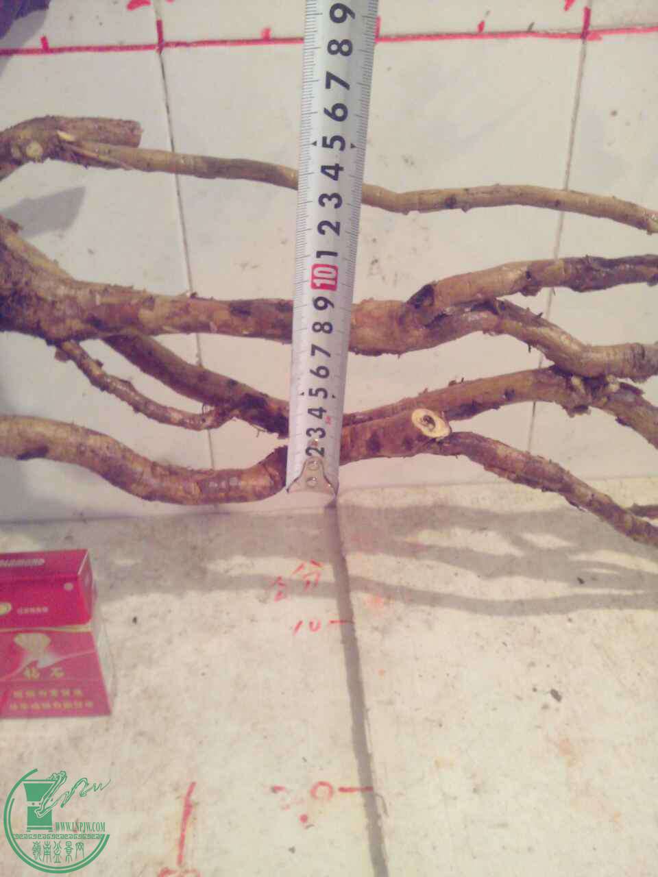 1B7F5DCA-DD92-401D-A12D-C6CDA4B842CC.JPG