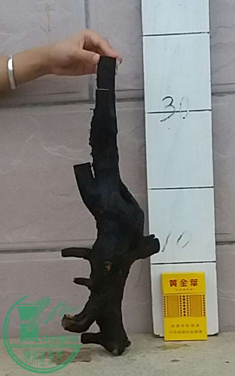 20160909_182919-1.jpg