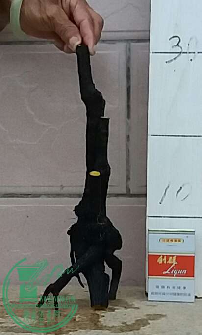 20160910_182519-1.jpg