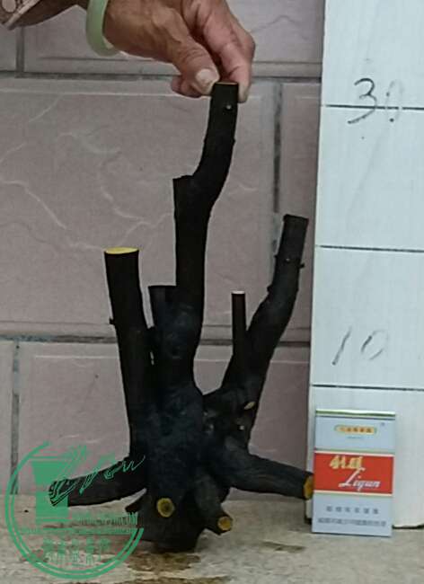 20160910_182148-1.jpg