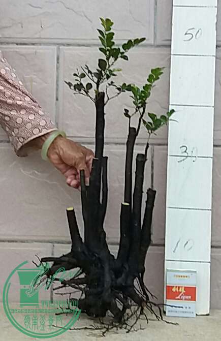 20160910_181929-1.jpg