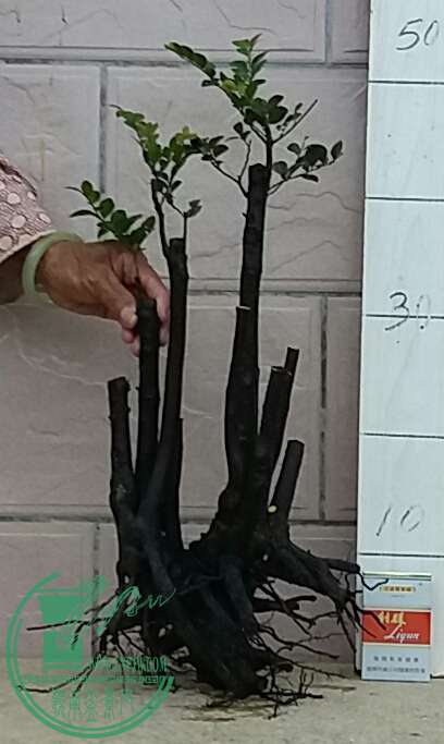 20160910_182002-1.jpg