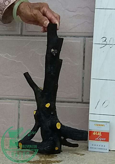 20160910_182121-1.jpg