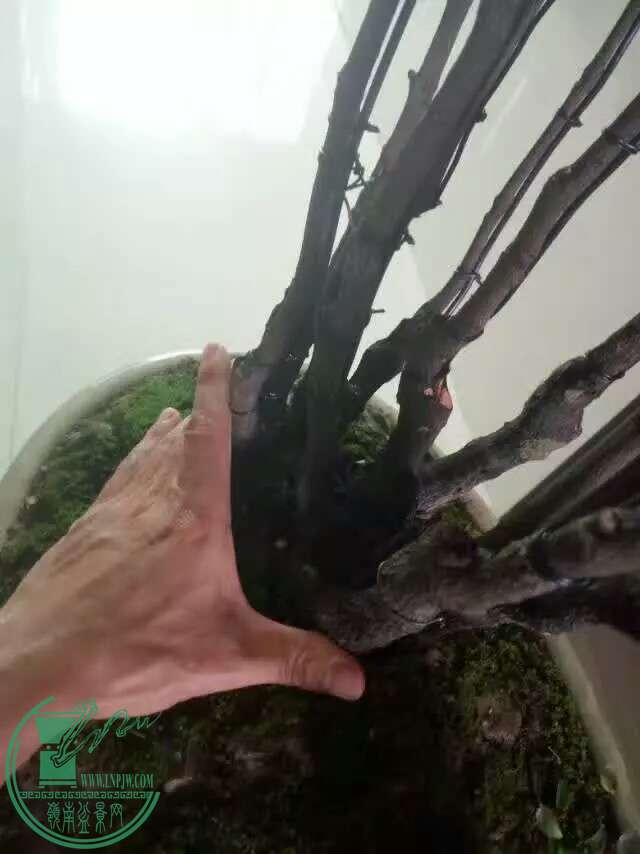 1473747436432.jpeg