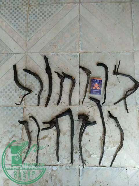 psbCA9RQP3M.jpg