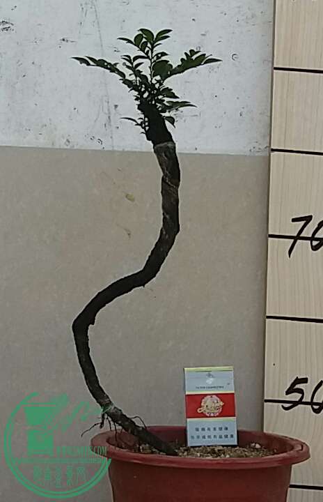 20160914_132847-1.jpg