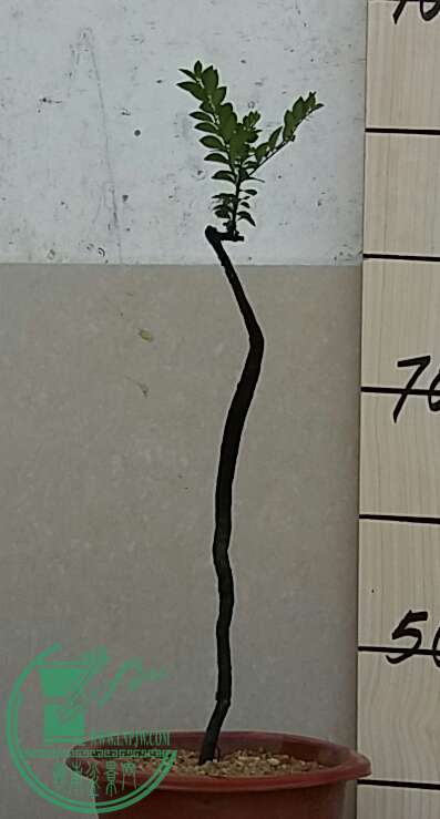 20160914_133016-1.jpg