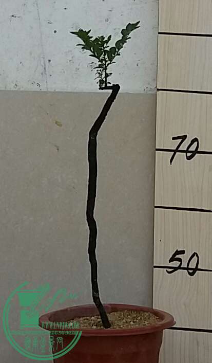 20160914_133113-1.jpg