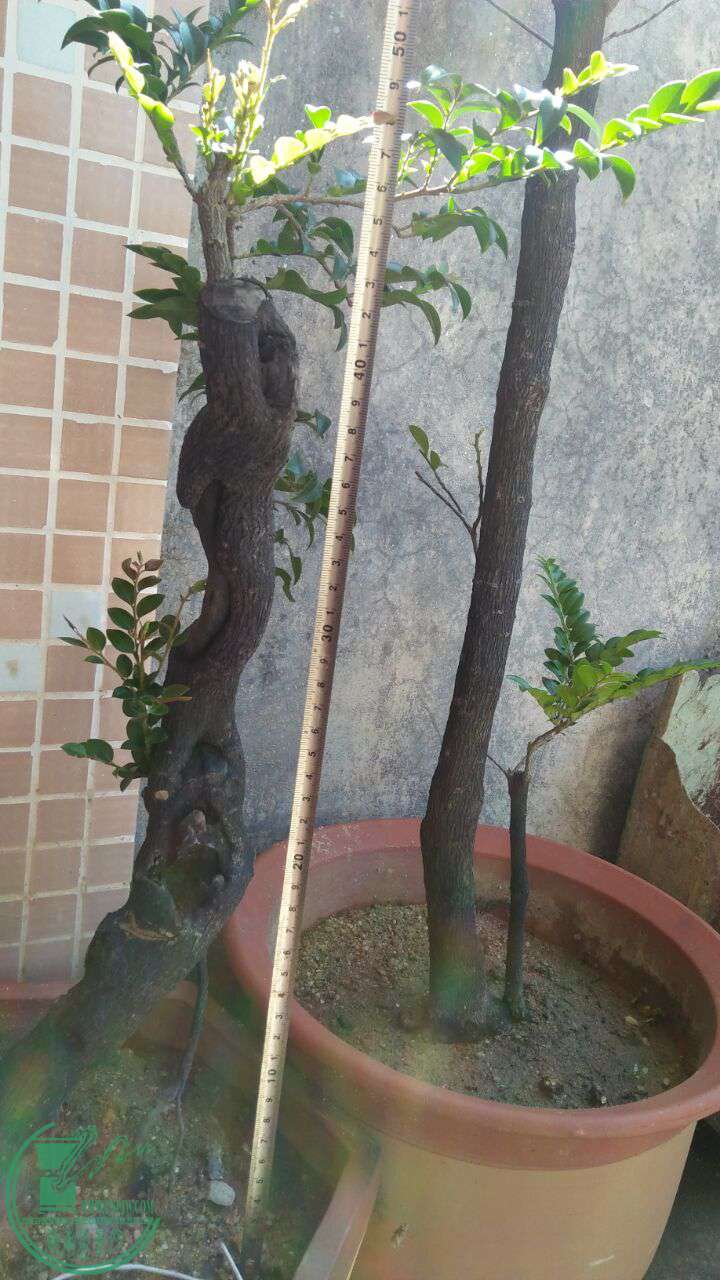 QQͼƬ20160918121953.jpg