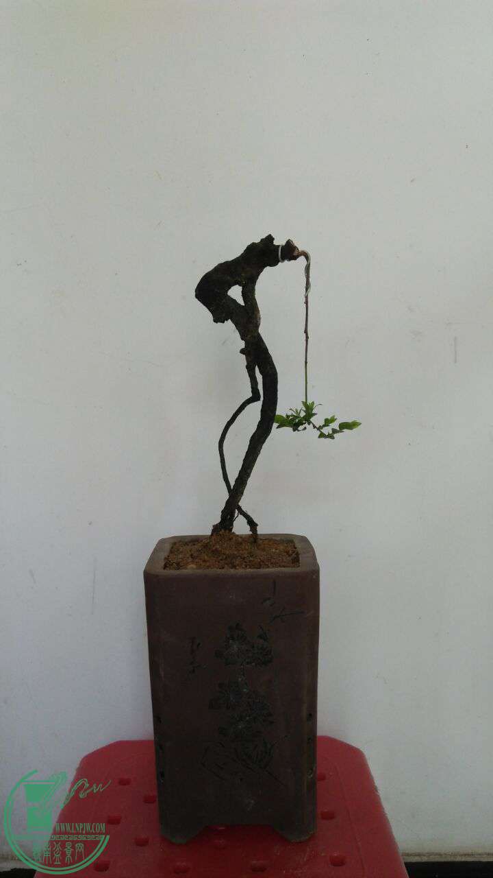 QQͼƬ20160918122025.jpg