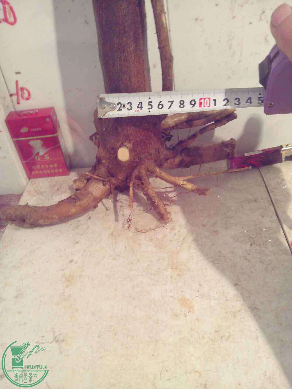 B1A92C28-DD81-4C5D-A6A3-0E04E3EF9131.JPG