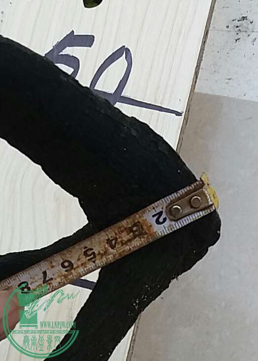 20160914_125629-1.jpg