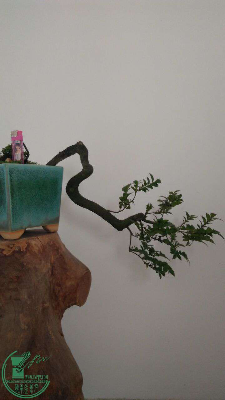 QQͼƬ20160919211639.jpg