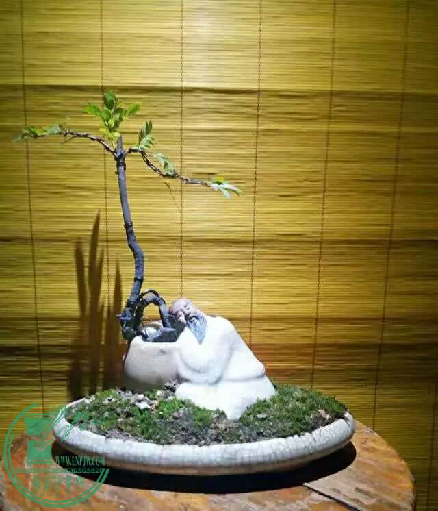 200