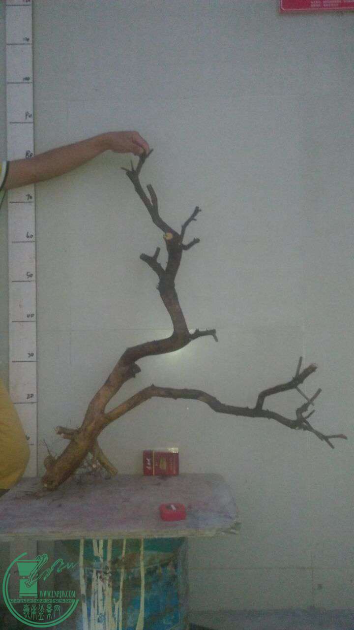 QQͼƬ20160923190826.jpg