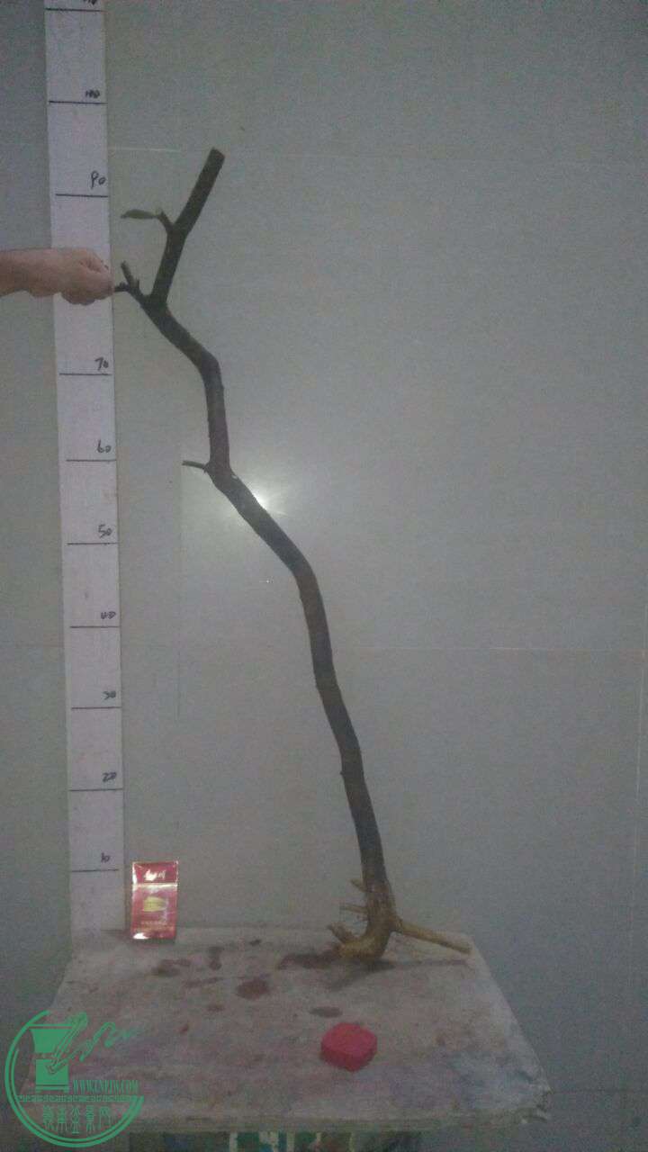 QQͼƬ20160923190701.jpg