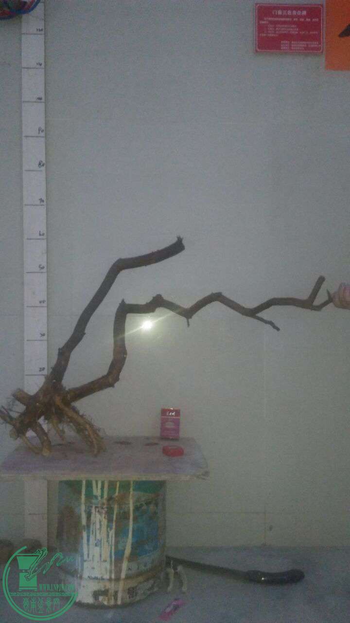 QQͼƬ20160923190740.jpg