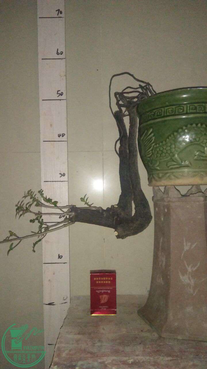 QQͼƬ20160924193641.jpg
