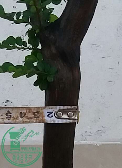 20160926_182149-1.jpg
