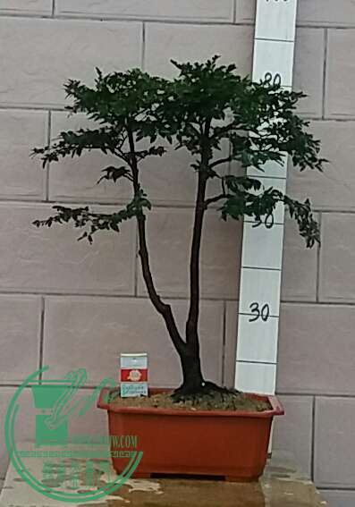20160926_180136-1.jpg