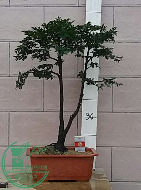 20160926_180410-1.jpg