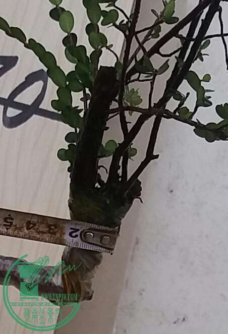 20160926_181856-1.jpg