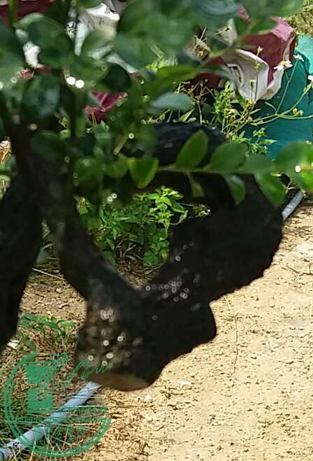 20160927_113129-1.jpg