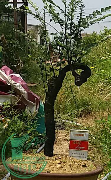 20160927_113142-1-1.jpg