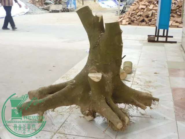 psb4.jpg
