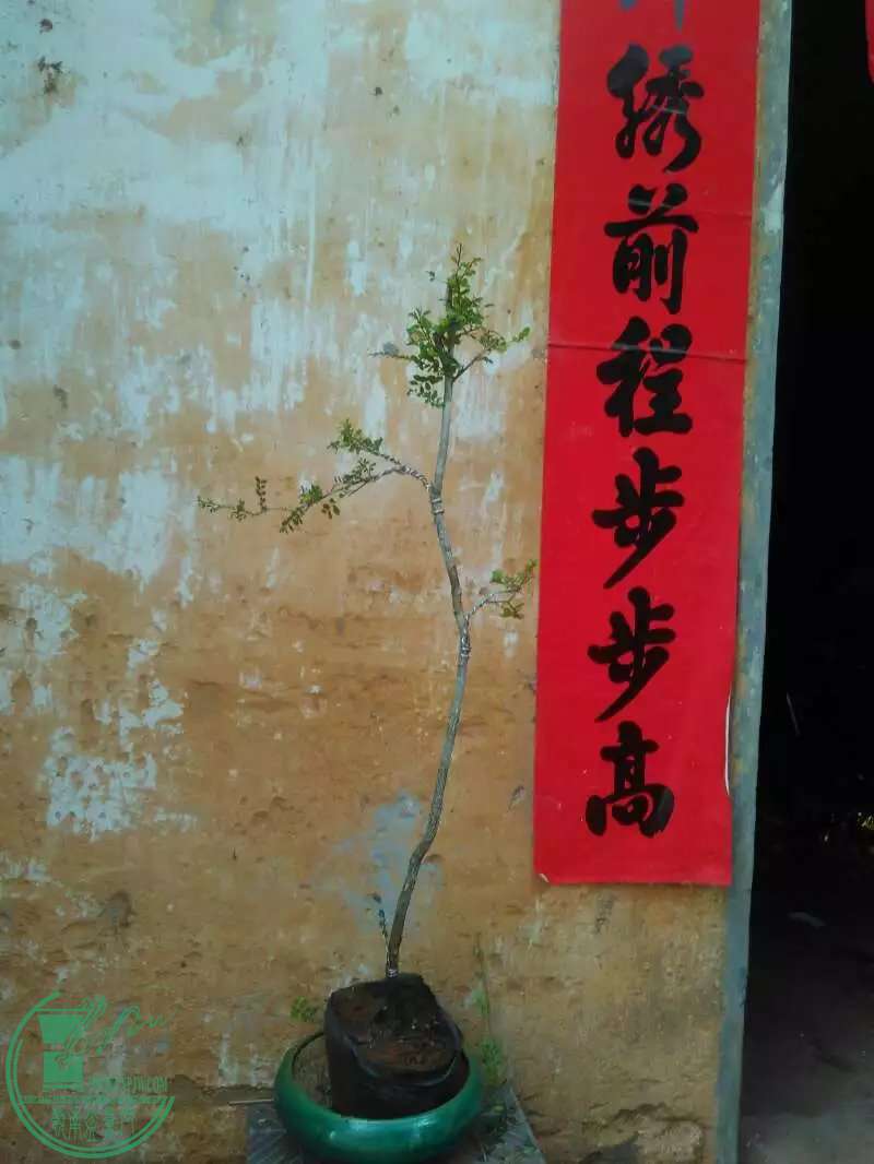 1150